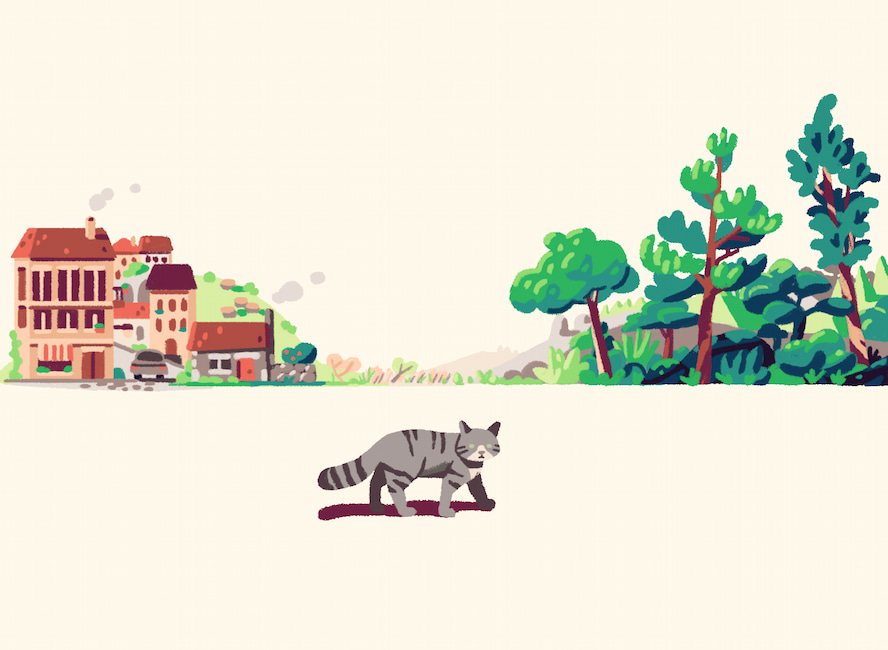 A wildcat walking through a transition from urban to rural to forest.