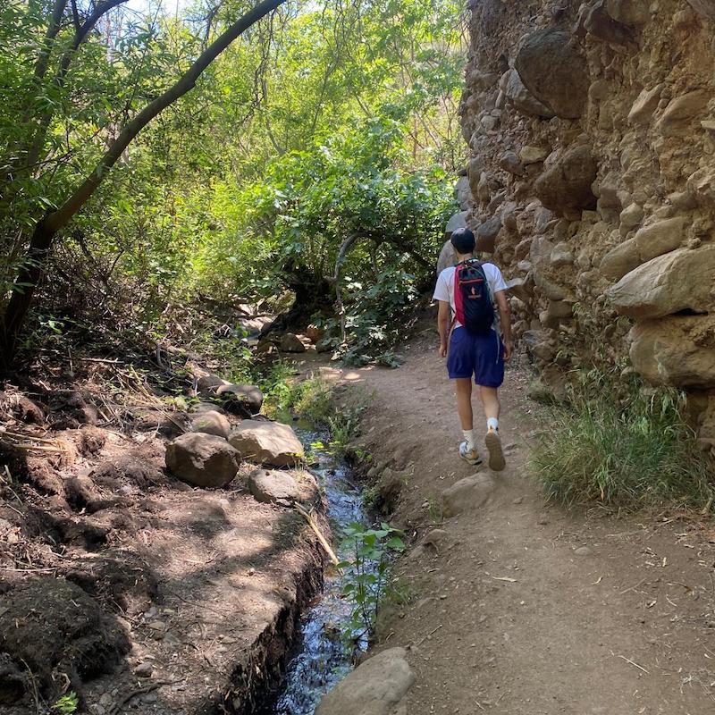Myself walking by a stream at the bottom of a lush ravine during a sunny day.